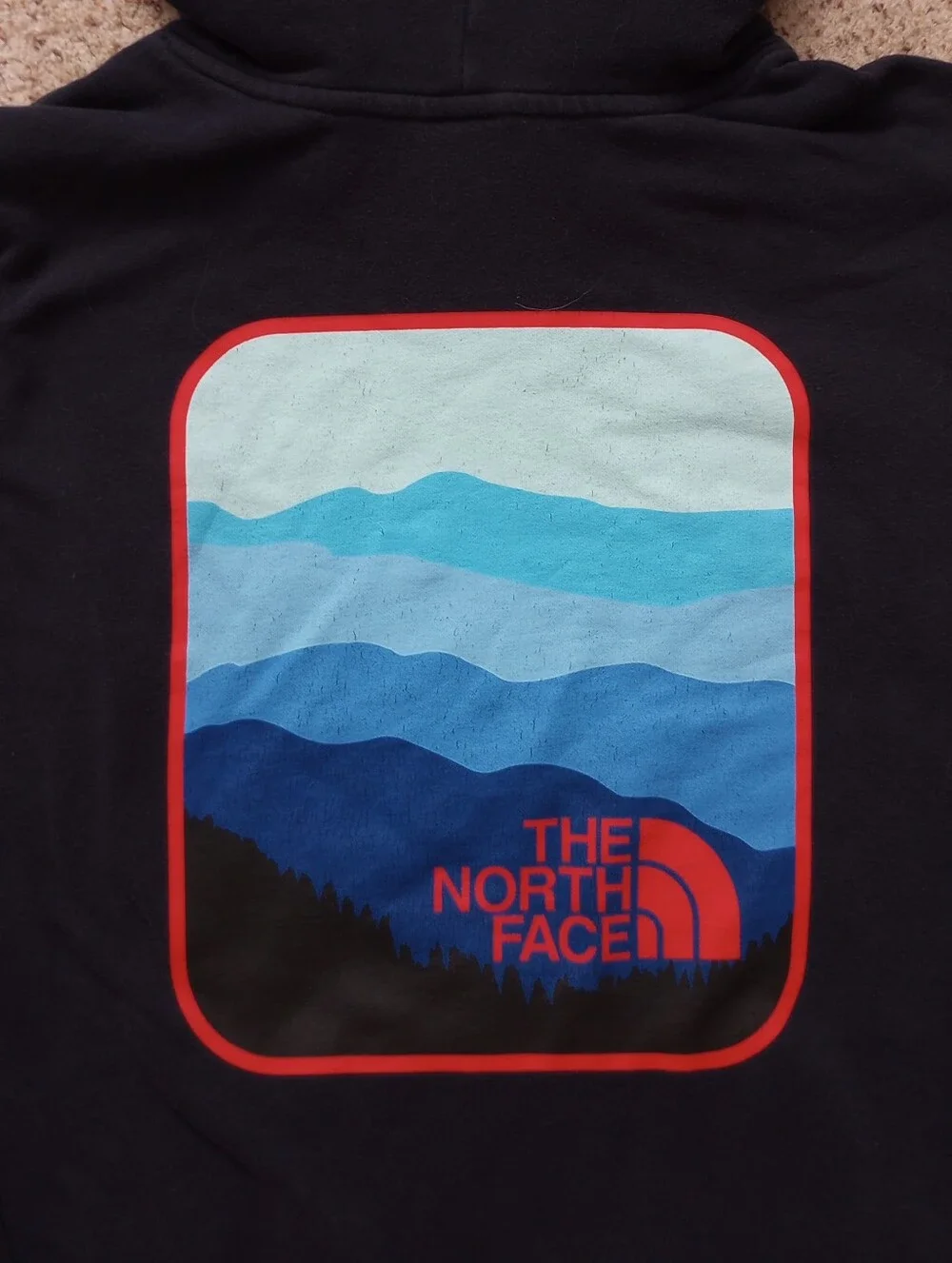 The North Face Hoodie Men's Large Blue & Red